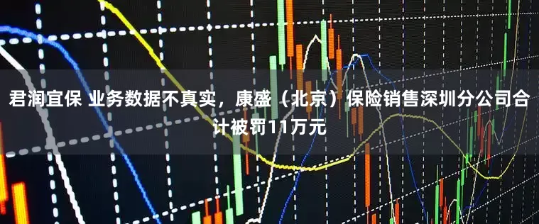 君润宜保 业务数据不真实，康盛（北京）保险销售深圳分公司合计被罚11万元