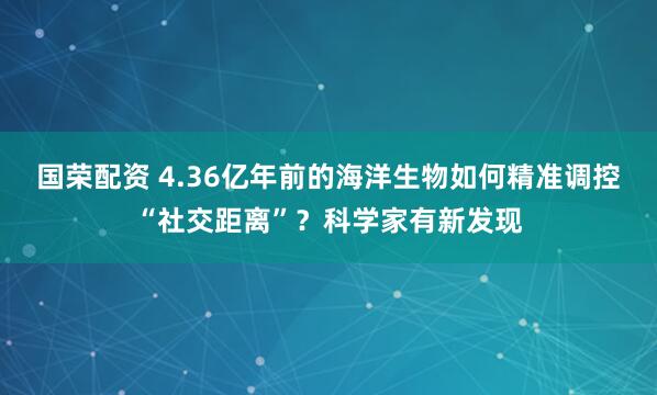 国荣配资 4.36亿年前的海洋生物如何精准调控“社交距离”？科学家有新发现