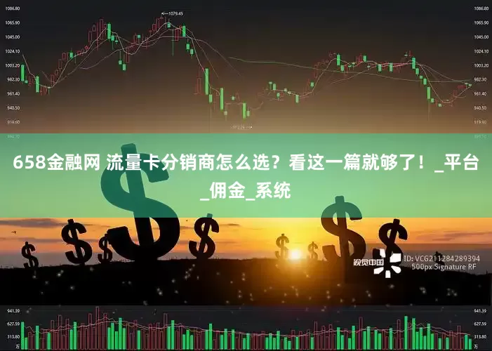 658金融网 流量卡分销商怎么选？看这一篇就够了！_平台_佣金_系统