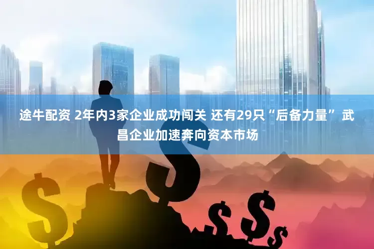 途牛配资 2年内3家企业成功闯关 还有29只“后备力量” 武昌企业加速奔向资本市场