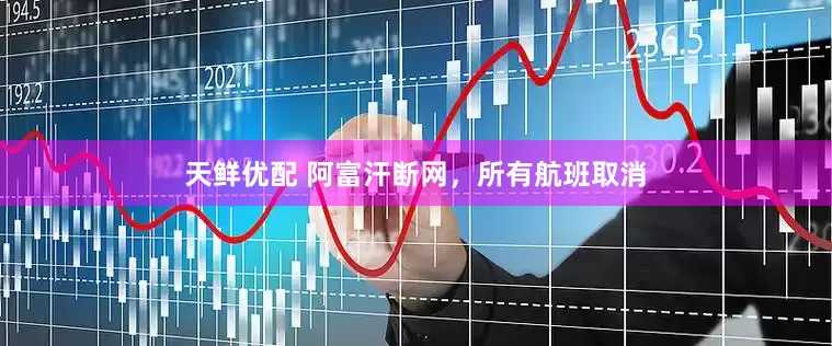 天鲜优配 阿富汗断网，所有航班取消