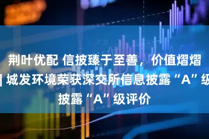 荆叶优配 信披臻于至善，价值熠熠生辉 | 城发环境荣获深交所信息披露“A”级评价