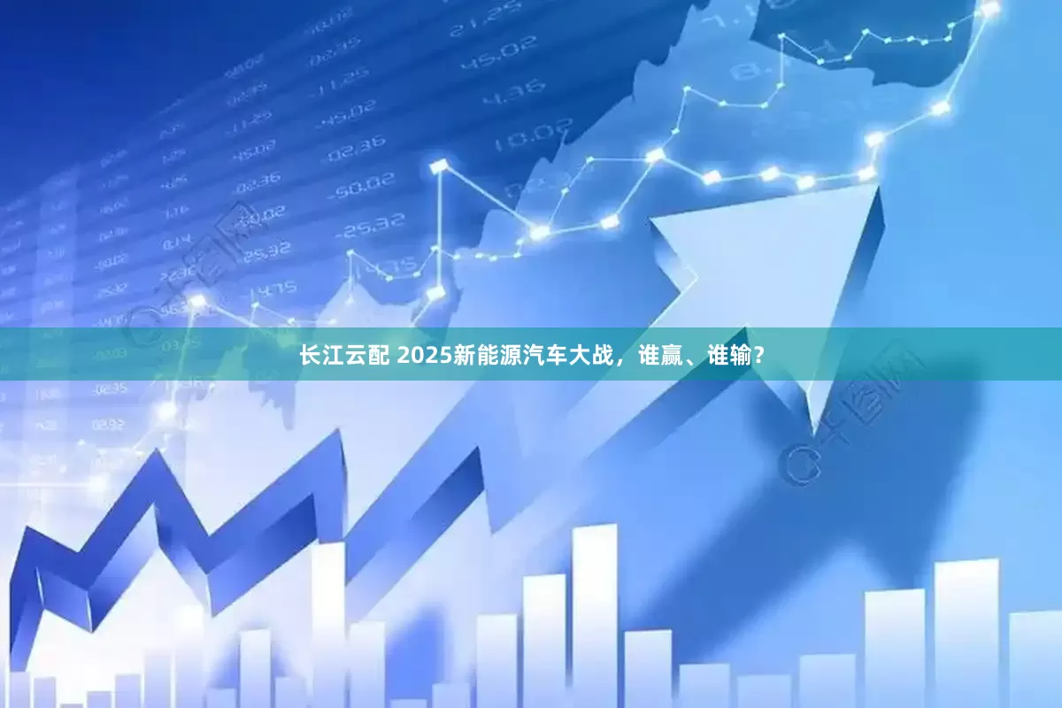 长江云配 2025新能源汽车大战，谁赢、谁输？