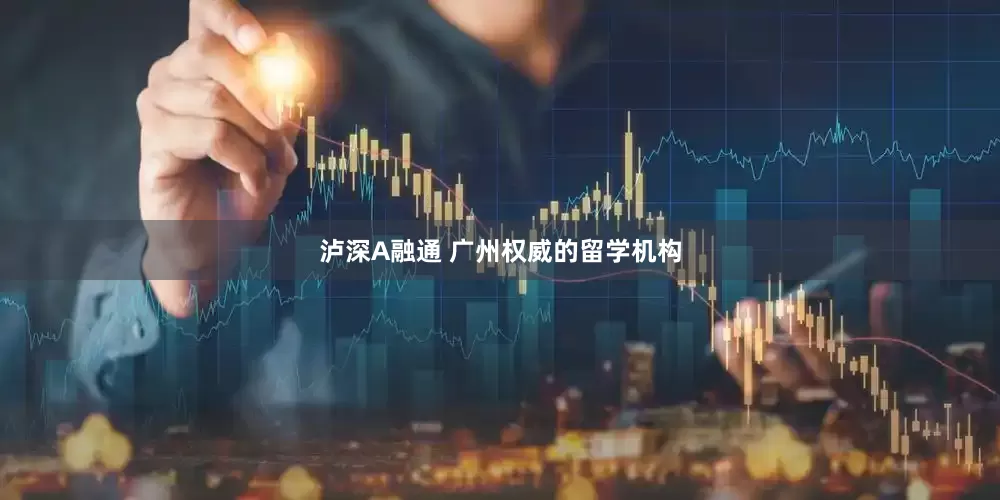 泸深A融通 广州权威的留学机构